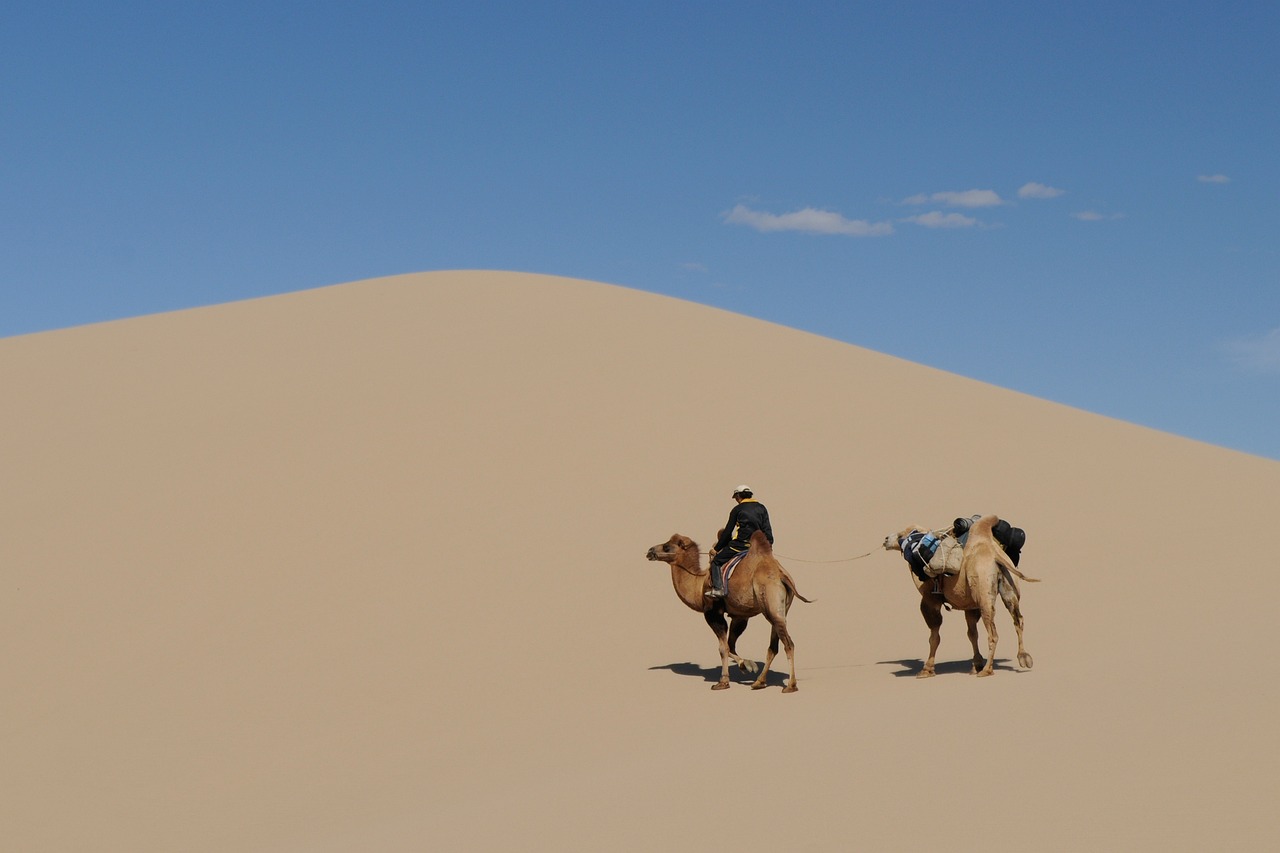 mongolia-739774_1280