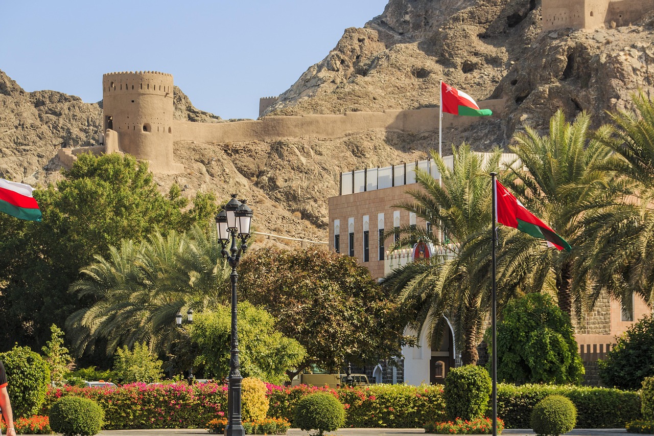 muscat-2606086_1280 (1)